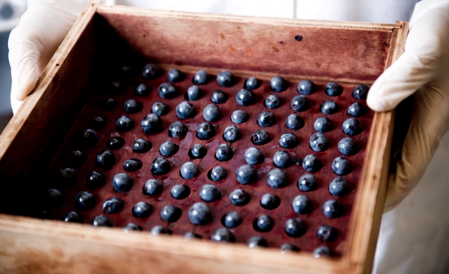 L’Union des Grands Crus