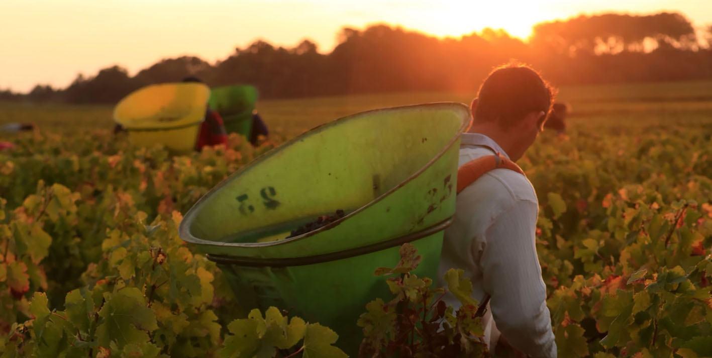Un terroir et des Hommes