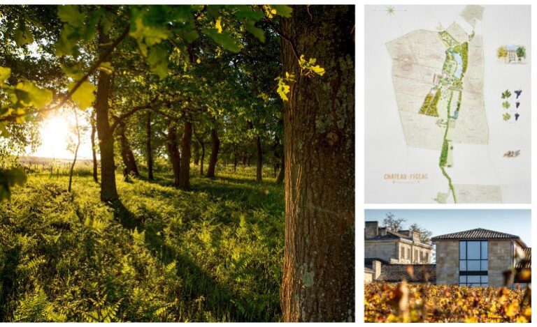 A la rencontre de Château-Figeac