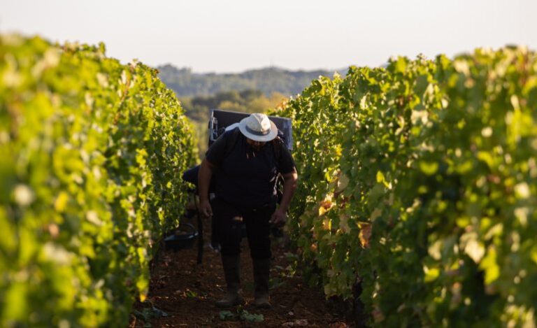 Château Gloria, Château Saint-Pierre et les Girondins de Bordeaux, Triaud amoureux