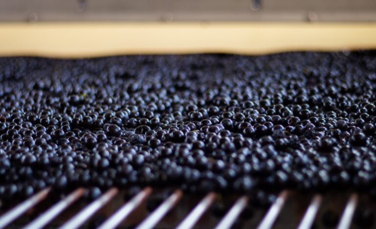 Château Gloria, Château Saint-Pierre et les Girondins de Bordeaux, Triaud amoureux